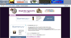 Desktop Screenshot of moneybookers.ingyenweb.hu